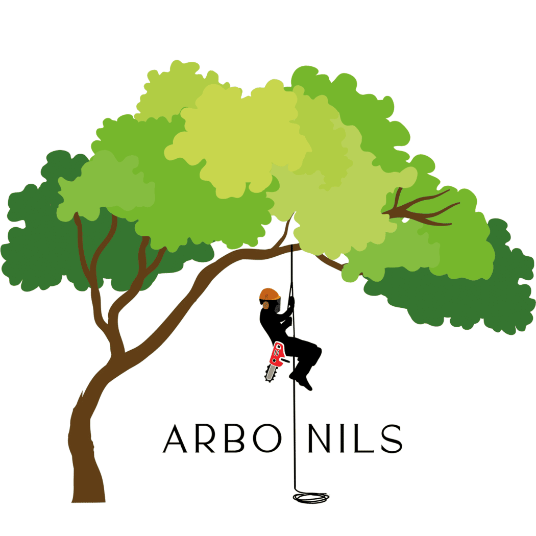 Arbo' Nils - Elagueur & Paysagiste