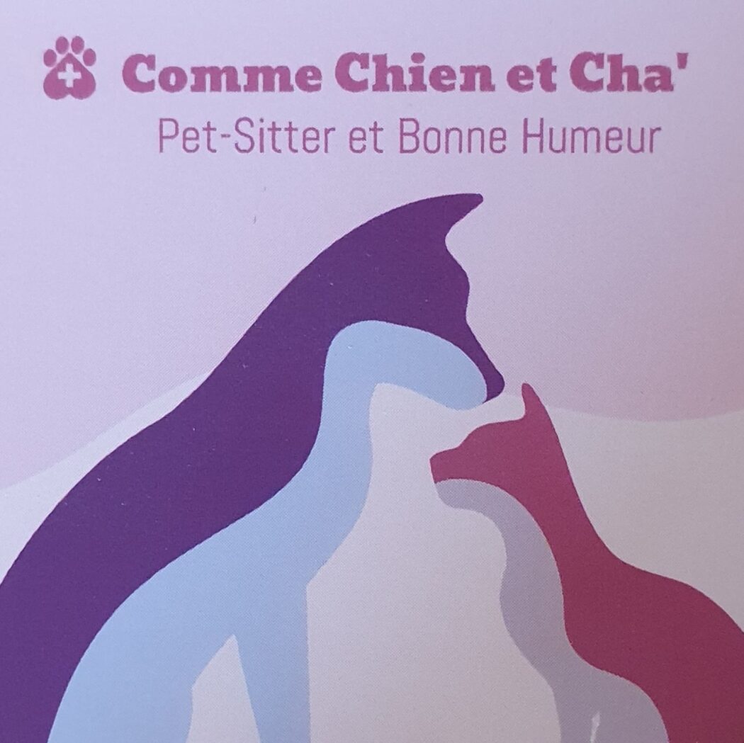 Comme Chien et Cha - Pet-Sitter et Bonne Humeur