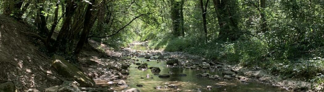 L’équilibre en soi Naturopathie