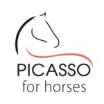 PICASSO for horses